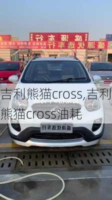 吉利熊猫cross,吉利熊猫cross油耗