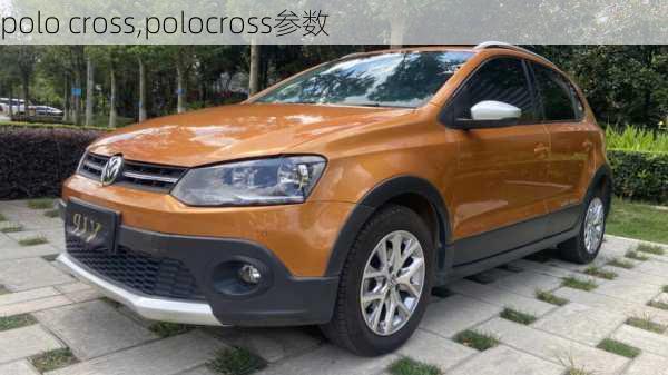 polo cross,polocross参数