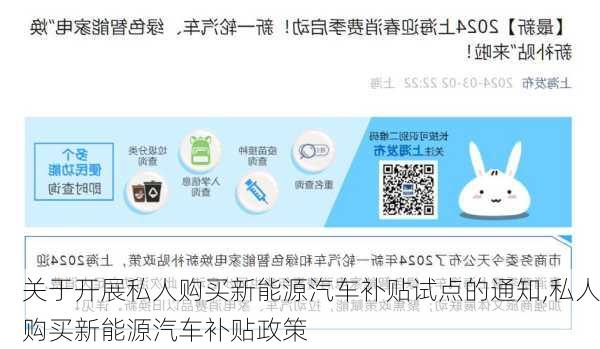 关于开展私人购买新能源汽车补贴试点的通知,私人购买新能源汽车补贴政策