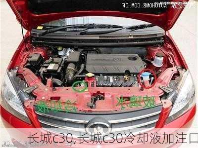 长城c30,长城c30冷却液加注口