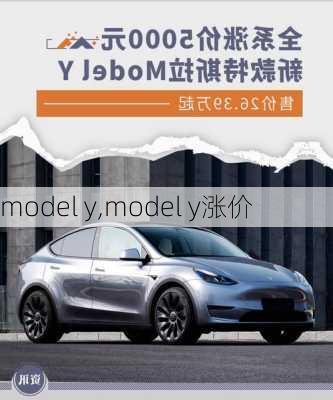 model y,model y涨价