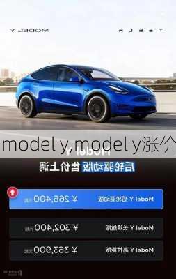 model y,model y涨价