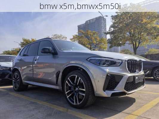 bmw x5m,bmwx5m50i