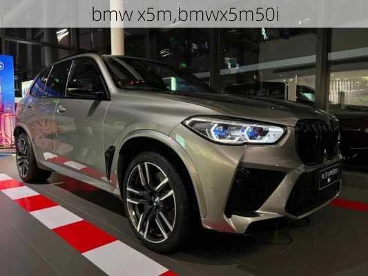 bmw x5m,bmwx5m50i