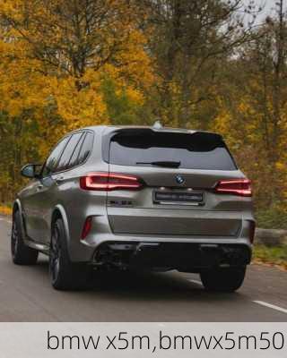 bmw x5m,bmwx5m50i