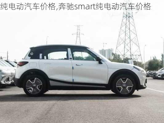 纯电动汽车价格,奔驰smart纯电动汽车价格