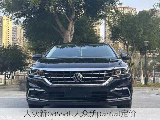 大众新passat,大众新passat定价