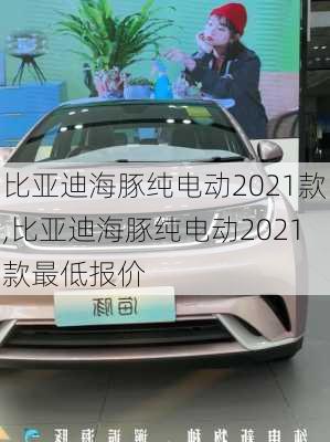 比亚迪海豚纯电动2021款,比亚迪海豚纯电动2021款最低报价