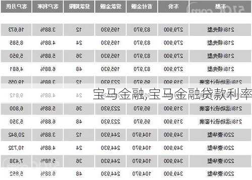 宝马金融,宝马金融贷款利率