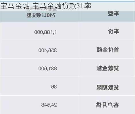 宝马金融,宝马金融贷款利率