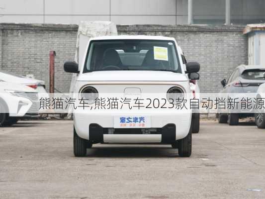 熊猫汽车,熊猫汽车2023款自动挡新能源