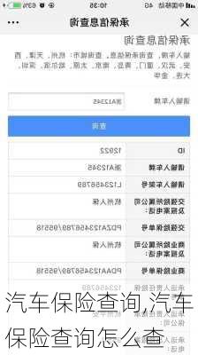 汽车保险查询,汽车保险查询怎么查