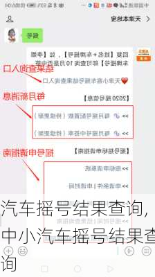 汽车摇号结果查询,中小汽车摇号结果查询