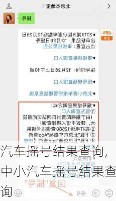 汽车摇号结果查询,中小汽车摇号结果查询