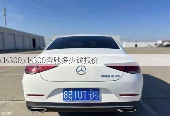 cls300,cls300奔驰多少钱报价