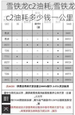 雪铁龙c2油耗,雪铁龙c2油耗多少钱一公里