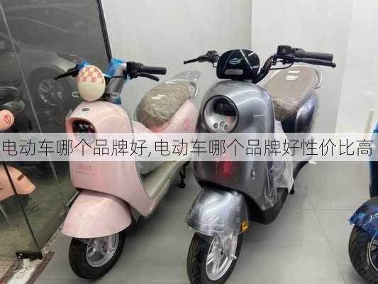 电动车哪个品牌好,电动车哪个品牌好性价比高