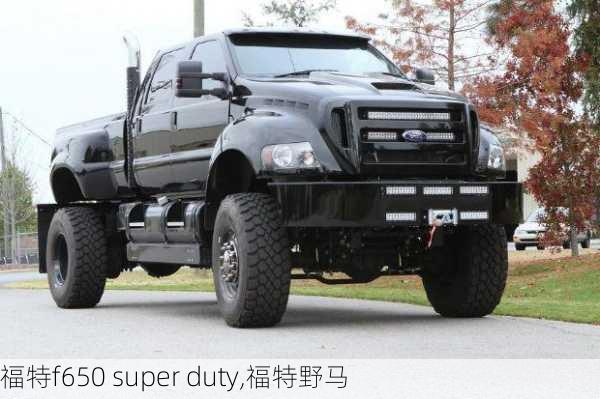 福特f650 super duty,福特野马