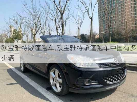 欧宝雅特敞篷跑车,欧宝雅特敞篷跑车中国有多少辆