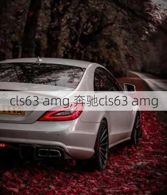 cls63 amg,奔驰cls63 amg