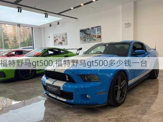 福特野马gt500,福特野马gt500多少钱一台