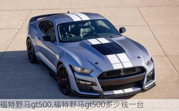 福特野马gt500,福特野马gt500多少钱一台