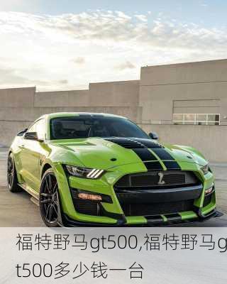 福特野马gt500,福特野马gt500多少钱一台