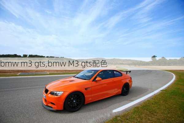 bmw m3 gts,bmw M3 gts配色