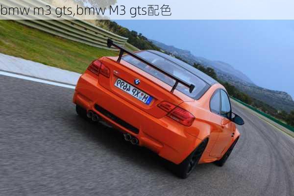 bmw m3 gts,bmw M3 gts配色