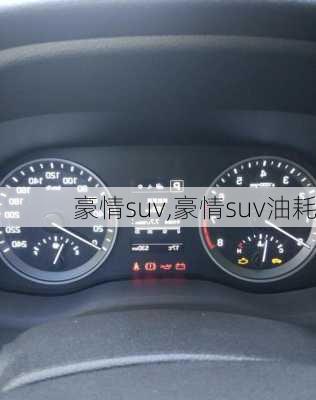 豪情suv,豪情suv油耗