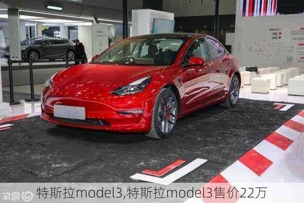 特斯拉model3,特斯拉model3售价22万