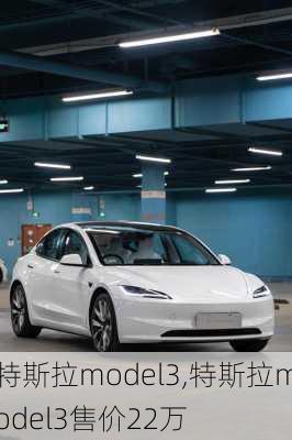 特斯拉model3,特斯拉model3售价22万