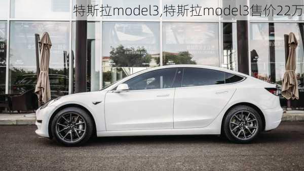 特斯拉model3,特斯拉model3售价22万