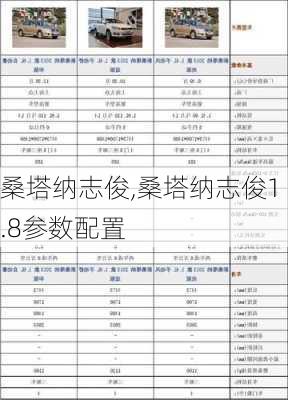 桑塔纳志俊,桑塔纳志俊1.8参数配置