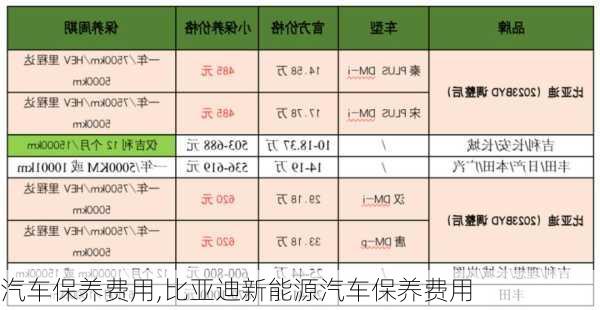 汽车保养费用,比亚迪新能源汽车保养费用