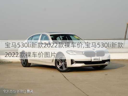 宝马530li新款2022款裸车价,宝马530li新款2022款裸车价图片