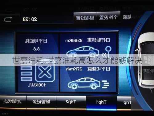 世嘉油耗,世嘉油耗高怎么才能够解决