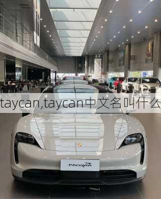 taycan,taycan中文名叫什么