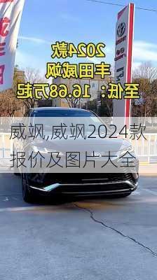 威飒,威飒2024款报价及图片大全