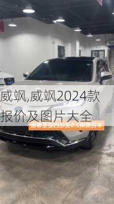 威飒,威飒2024款报价及图片大全