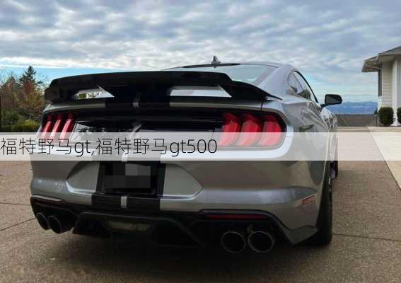 福特野马gt,福特野马gt500