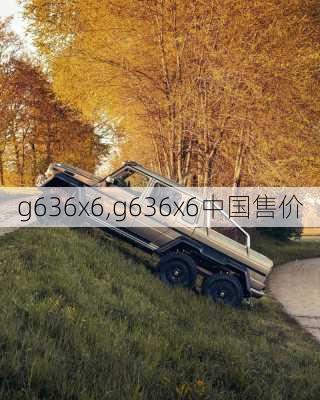 g636x6,g636x6中国售价