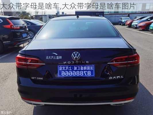 大众带字母是啥车,大众带字母是啥车图片