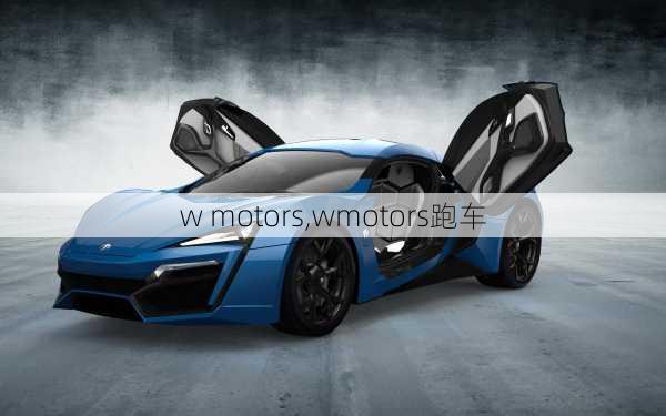 w motors,wmotors跑车