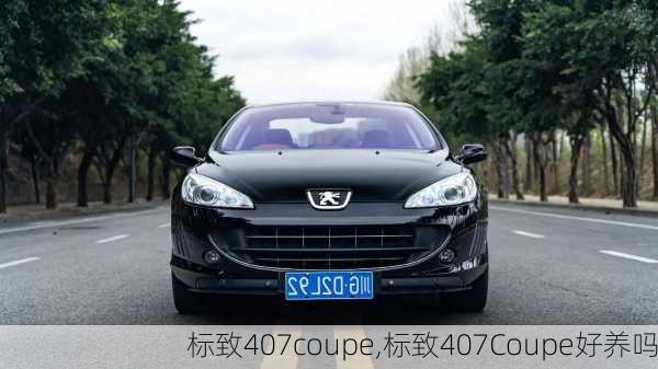 标致407coupe,标致407Coupe好养吗