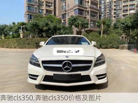 奔驰cls350,奔驰cls350价格及图片