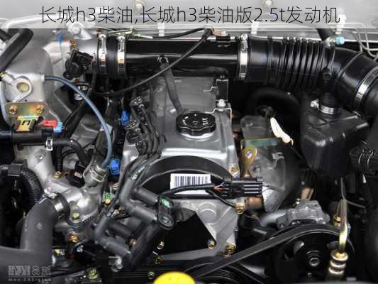 长城h3柴油,长城h3柴油版2.5t发动机