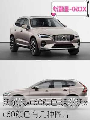 沃尔沃xc60颜色,沃尔沃xc60颜色有几种图片