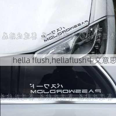 hella flush,hellaflush中文意思