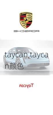 taycan,taycan颜色